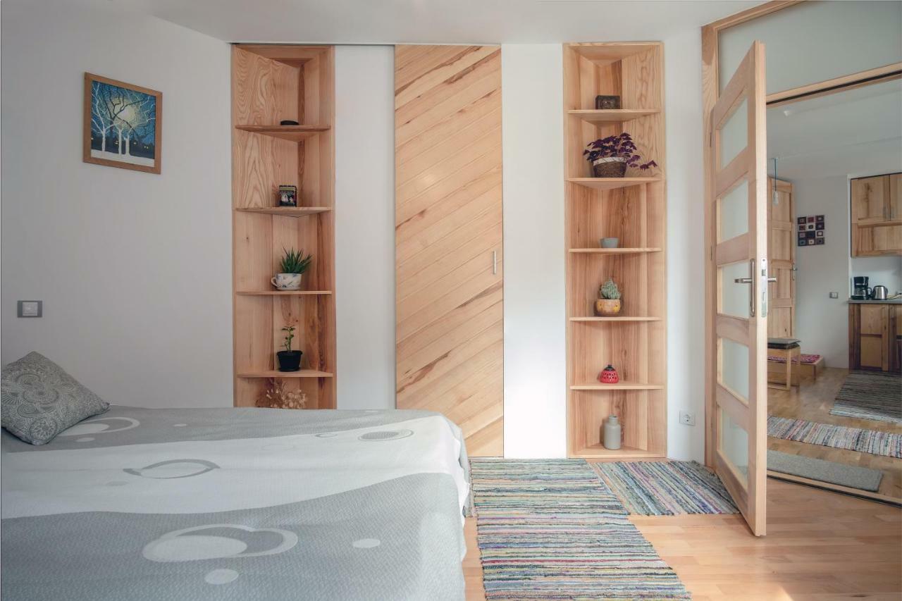 Alt Apartament Apartment Sibiu Bagian luar foto
